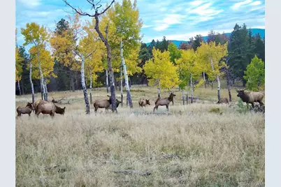 12414 S US Hwy 285, Conifer, CO 80433 - Photo 47
