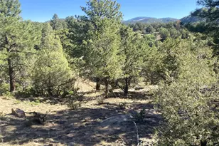 136 Burnt Timber Cir, Cotopaxi, CO 81223 - Photo 23