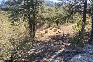 136 Burnt Timber Cir, Cotopaxi, CO 81223 - Photo 29
