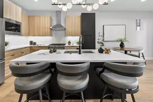 828 N Cherry Street, Denver, CO 80220 - Photo 9