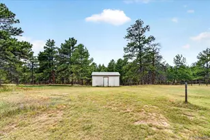 24389 Emerald Trail, Deer Trail, CO 80105 - Photo 27