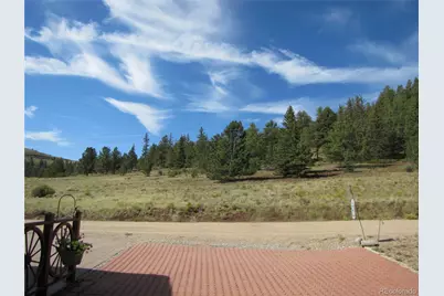 249 Tressel Trail, Hartsel, CO 80449 - Photo 15