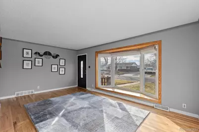 8540 Faraday Street, Denver, CO 80229 - Photo 7