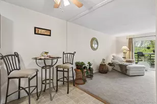 675 S Alton Way, Denver, CO 80247 - Photo 5
