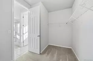 6954 Greenwater Cir, Castle Rock, CO 80108 - Photo 27
