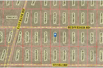 Lot 8 Budwieser Rd., Fort Garland, CO 81133 - Photo 9