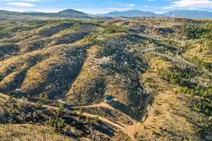 3631 Cr 33 Dr, Florissant, CO 80816 - Photo 5
