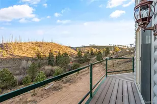 3631 Cr 33 Dr, Florissant, CO 80816 - Photo 41