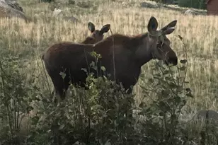 216 Glacier Ridge Rd, Alma, CO 80420 - Photo 33