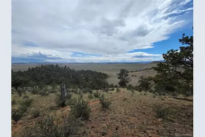 902 Settele Drive, Hartsel, CO 80449 - Photo 9