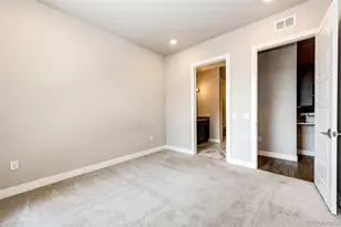 20 Wilcox Street, Castle Rock, CO 80104 - Photo 19