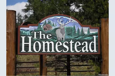 8036 Settlers Drive, Morrison, CO 80456 - Photo 9