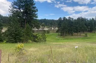 8036 Settlers Dr, Morrison, CO 80456 - Photo 1