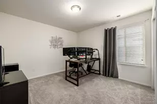 9781 Bennett Peak St, Littleton, CO 80125 - Photo 23