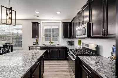 9781 Bennett Peak Street, Littleton, CO 80125 - Photo 11