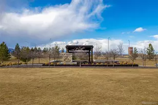 9781 Bennett Peak St, Littleton, CO 80125 - Photo 41