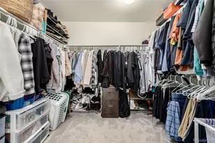 9781 Bennett Peak St, Littleton, CO 80125 - Photo 21