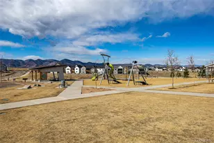 9781 Bennett Peak St, Littleton, CO 80125 - Photo 47