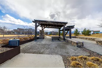 9781 Bennett Peak Street, Littleton, CO 80125 - Photo 43