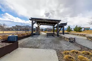 9781 Bennett Peak St, Littleton, CO 80125 - Photo 43