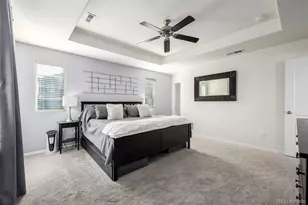 9781 Bennett Peak St, Littleton, CO 80125 - Photo 17