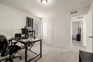 9781 Bennett Peak St, Littleton, CO 80125 - Photo 25