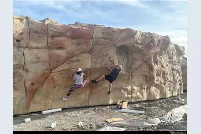 9781 Bennett Peak Street, Littleton, CO 80125 - Photo 49