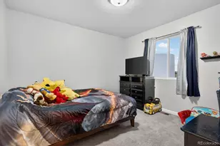 2424 Horse Shoe Cir, Fort Lupton, CO 80621 - Photo 27