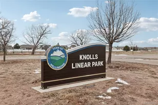 3905 Sweetgum St, Wellington, CO 80549 - Photo 29