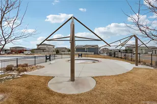 3905 Sweetgum St, Wellington, CO 80549 - Photo 31