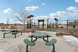 3905 Sweetgum St, Wellington, CO 80549 - Photo 37