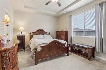 3905 Sweetgum Street, Wellington, CO 80549 - Photo 19