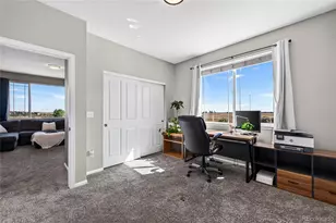 337 Peabody St, Castle Rock, CO 80104 - Photo 13