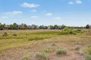 9230 Lark Sparrow Dr, Highlands Ranch, CO 80126 - Photo 5