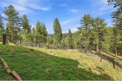 33165 Diana Road, Pine, CO 80470 - Photo 13