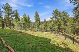 33165 Diana Rd, Pine, CO 80470 - Photo 13