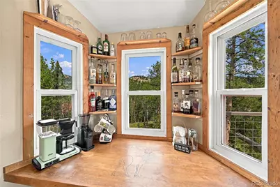 33165 Diana Road, Pine, CO 80470 - Photo 5