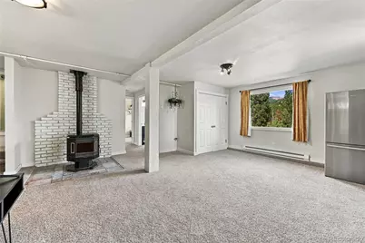 33165 Diana Road, Pine, CO 80470 - Photo 11