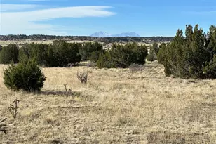 Lot 122 Ghost River Ranch, Rye, CO 81069 - Photo 1