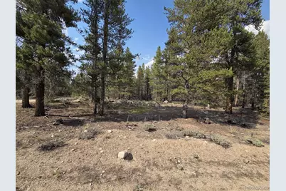 455 Spruce Drive, Leadville, CO 80461 - Photo 5