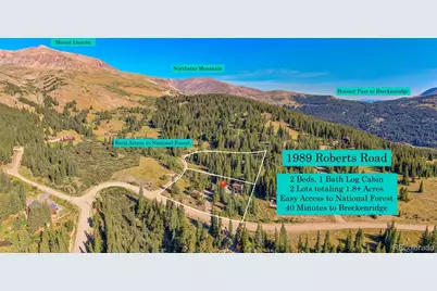 1989 Roberts Road, Alma, CO 80420 - Photo 27