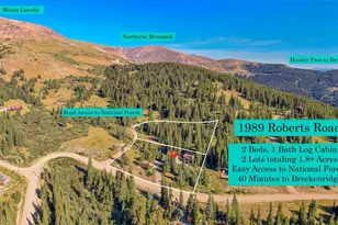 1989 Roberts Rd, Alma, CO 80420 - Photo 27