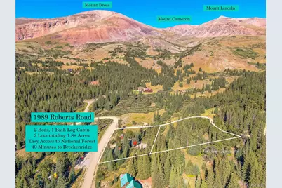 1989 Roberts Road, Alma, CO 80420 - Photo 3