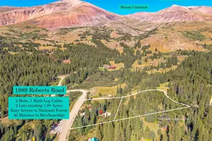 1989 Roberts Rd, Alma, CO 80420 - Photo 3