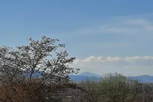 3375 Garland St, Wheat Ridge, CO 80033 - Photo 37