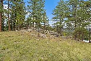 138 Fawn Dr, Bailey, CO 80421 - Photo 45