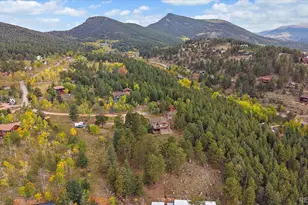 138 Fawn Dr, Bailey, CO 80421 - Photo 47