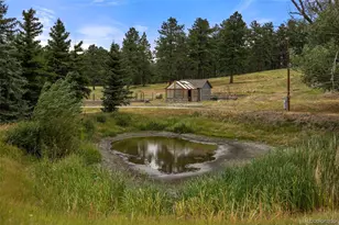 9610 S Perry Park Rd, Larkspur, CO 80118 - Photo 35