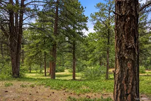9610 S Perry Park Rd, Larkspur, CO 80118 - Photo 43