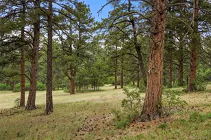 9610 S Perry Park Rd, Larkspur, CO 80118 - Photo 41